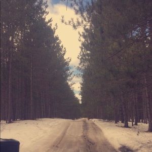 Meet your Posher, Brady